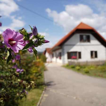 House Of Culture And Nature - Hisa Kulture In Nature Zagradec Exterior photo