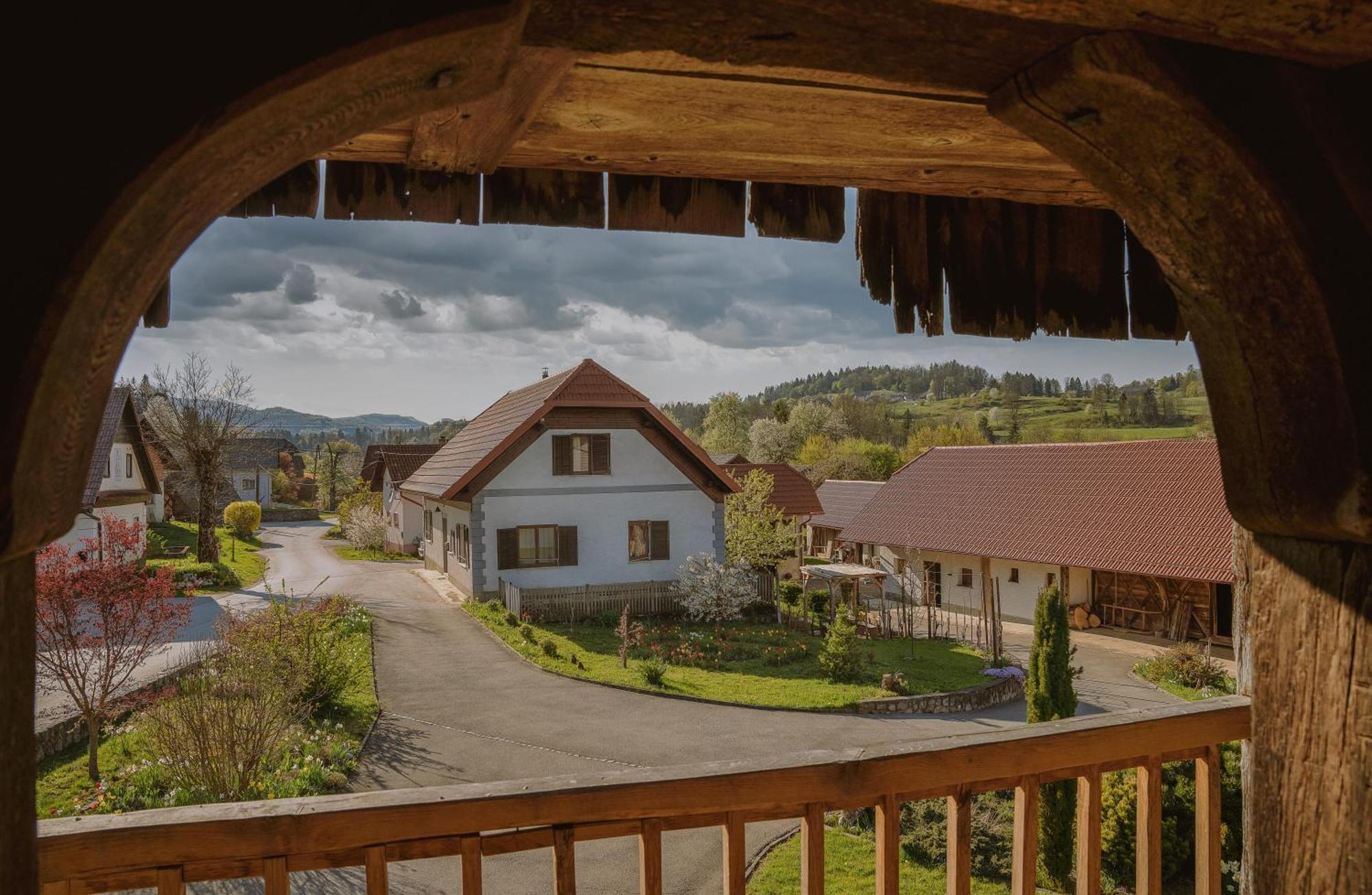 House Of Culture And Nature - Hisa Kulture In Nature Zagradec Exterior photo