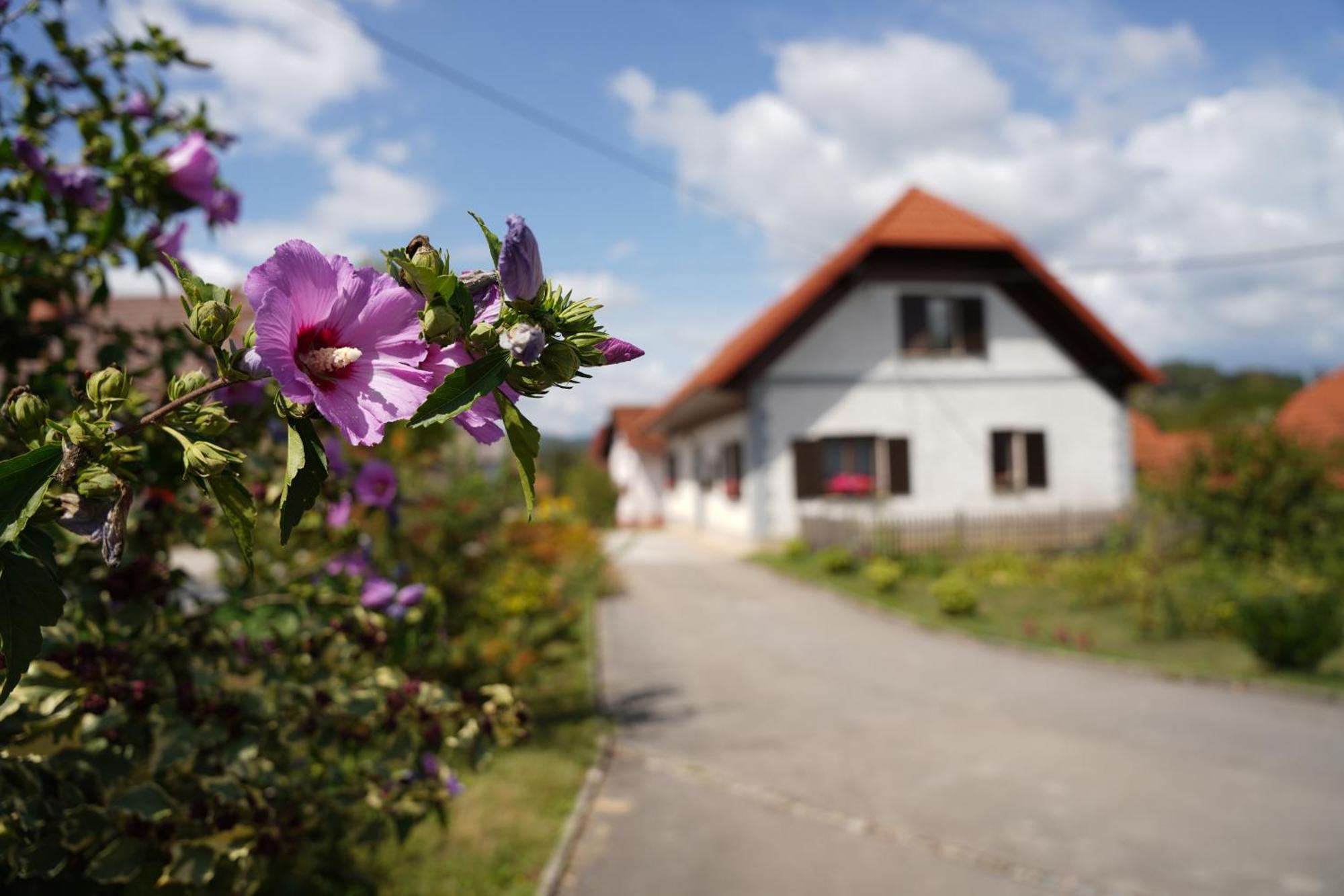 House Of Culture And Nature - Hisa Kulture In Nature Zagradec Exterior photo